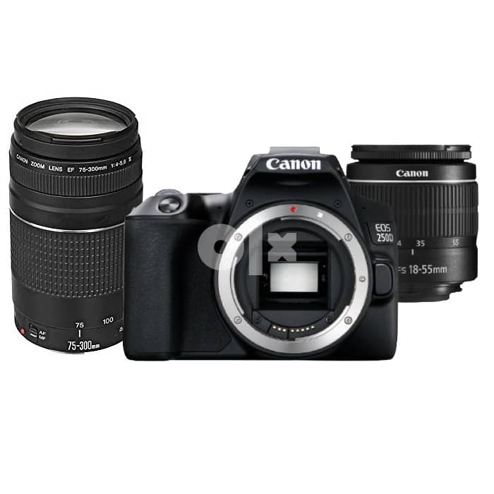 Canon 250D with extra lens , compatable bag and 4k capturing SD card 5