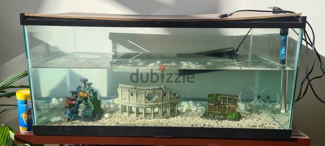 Very clean Glass Aquarium (fish, turtle, lizard), excellent condition