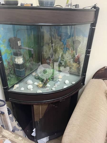 fish tank for sale like new alll accessories. . 0