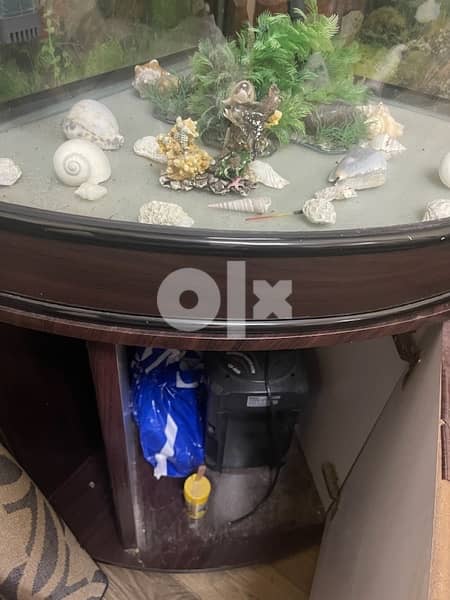 fish tank for sale like new alll accessories. . 4