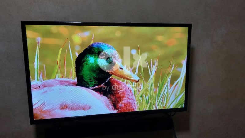 Wansa 40inch Full HD Led TV not smart 0