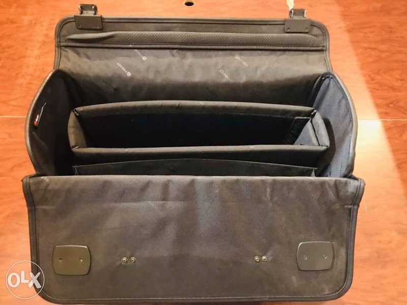 Delsey bag light used excellent condition 1