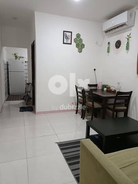 vacation  flat for rent 25th Mar  to 25 apr2024 last for family 3