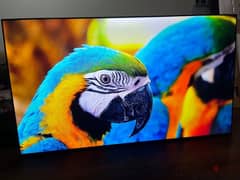 Hisense 75’ inch 4K UHD TV- US Model