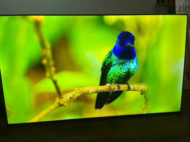 Hisense 75’ inch 4K UHD TV- US Model 1