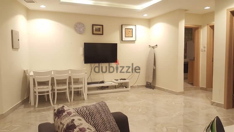 FINTAS - Spacious Fully Furnished 1 BR Apartment 7