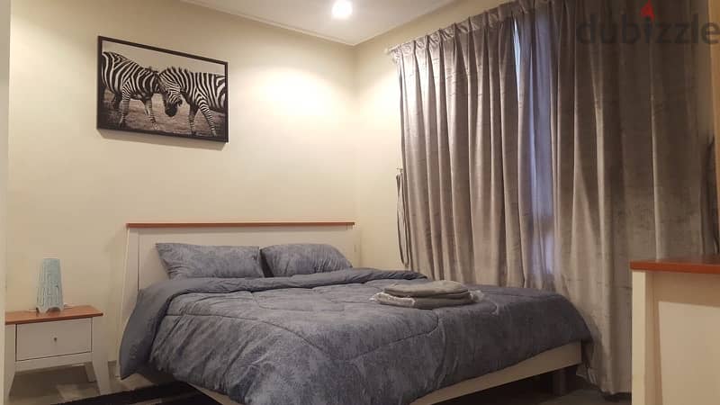 FINTAS - Spacious Fully Furnished 1 BR Apartment 8