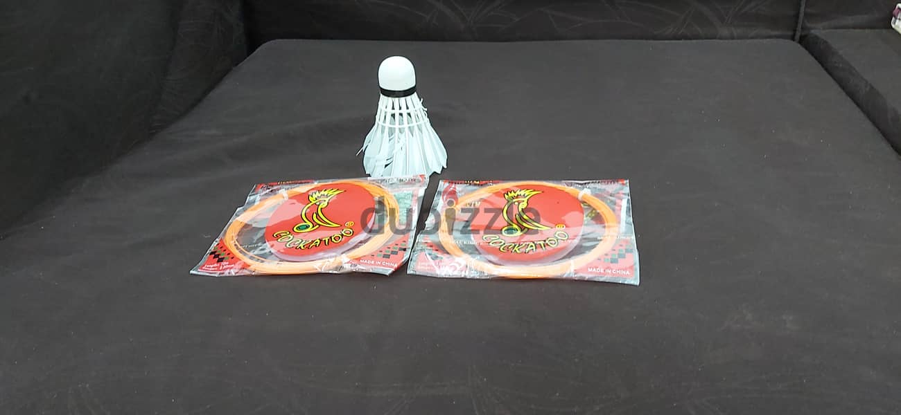 Sports Goods(badminton strings/shuttle cock/knee supports) 0