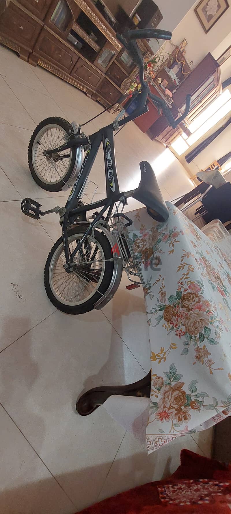 Bicycle for upto 10 year old Children for Sale 1