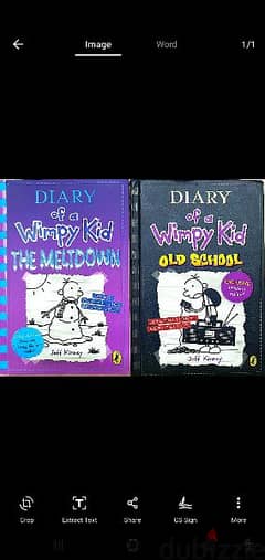 Diiary of a wimpy kid 2 books