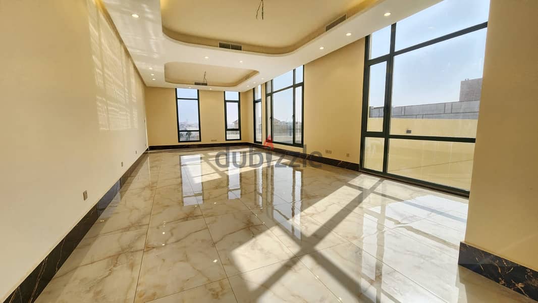 Brand New Penthouse Apartment with Private Swimming Pool 4