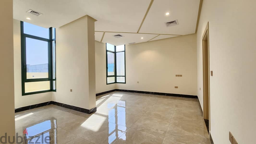 Brand New Penthouse Apartment with Private Swimming Pool 11