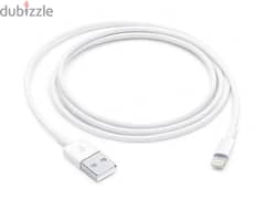 Apple Lightning Charging Cable