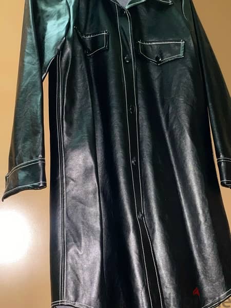 Leather Coat 1