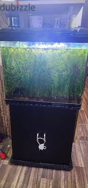 fish aquariums for sale 1