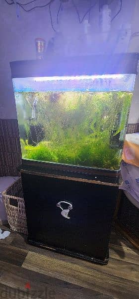 fish aquariums for sale 2