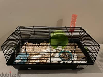 small pet hampster cage with running wheel and swing