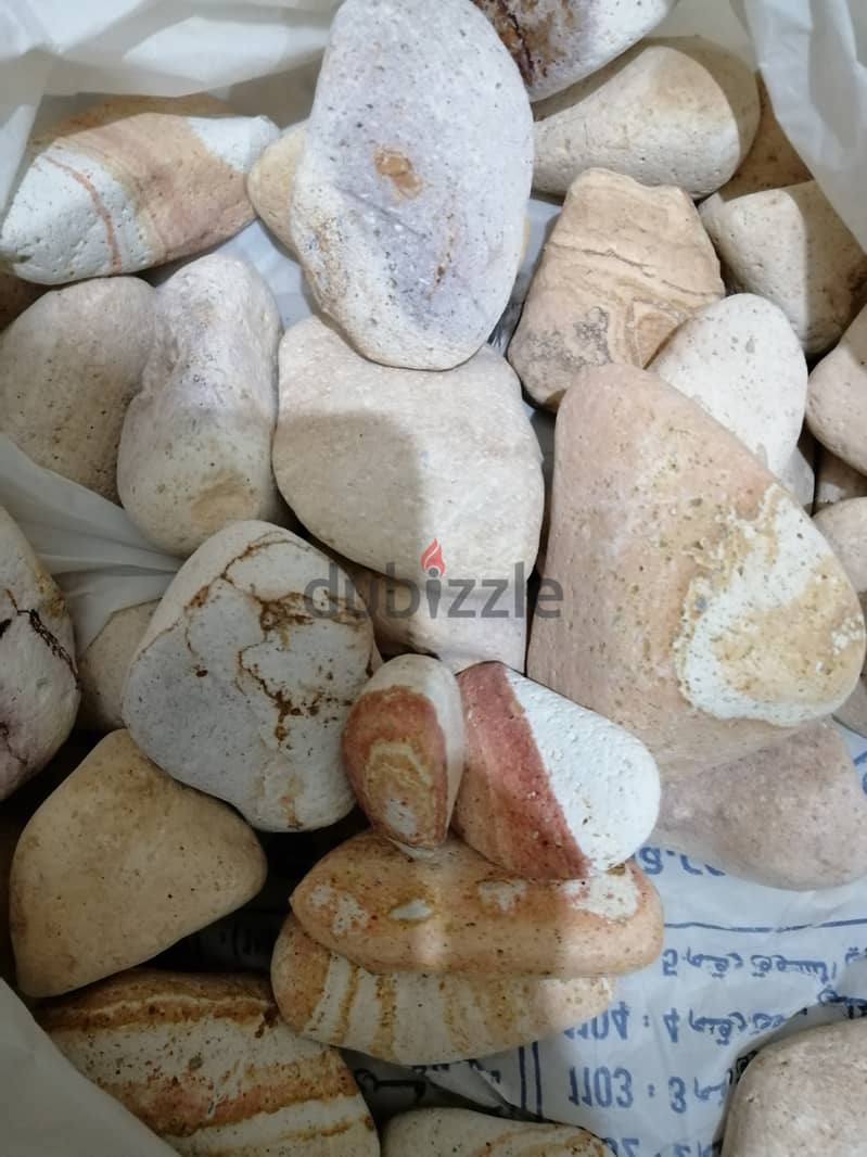 aquarium stones and pebbles (10 kg) 3