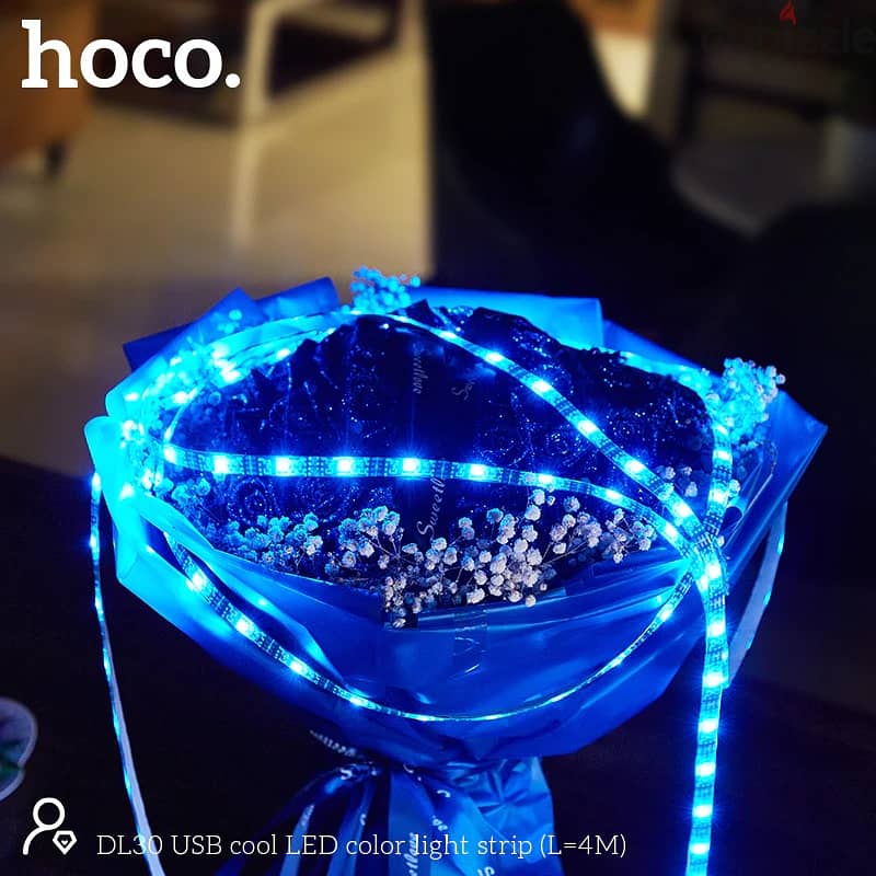 Hoco DL30 USB LED Strip Light With Remote 4 Meters 2