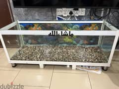 Customized fish tank 0