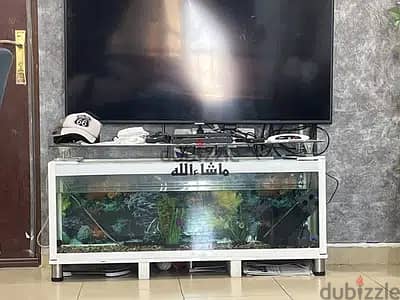 Customized fish tank 1