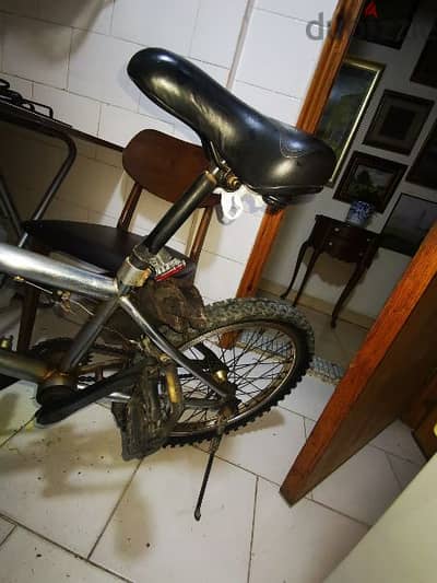 BMX max 70kg adult