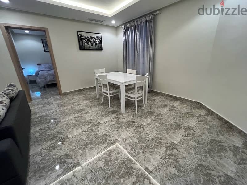 Fintas - Spacious Fully Furnished 1BR Apartment 10
