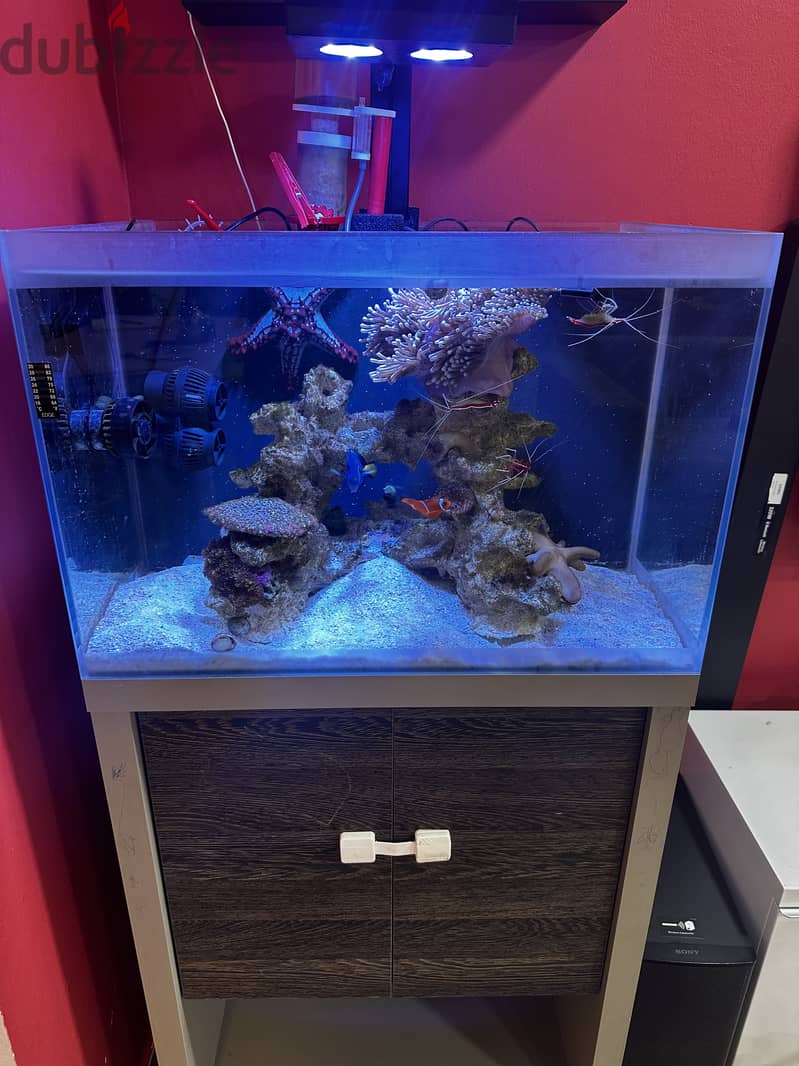 Marine aquarium clearance accessories