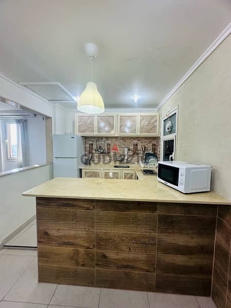 Fully Furnished One Bedroom Apartment for Rent. 3
