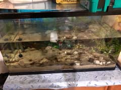 Aquarium Tank, Air Pump for sale