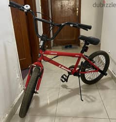 BMX Spinner Cycle for sale