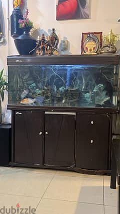fish tank for sale with fish