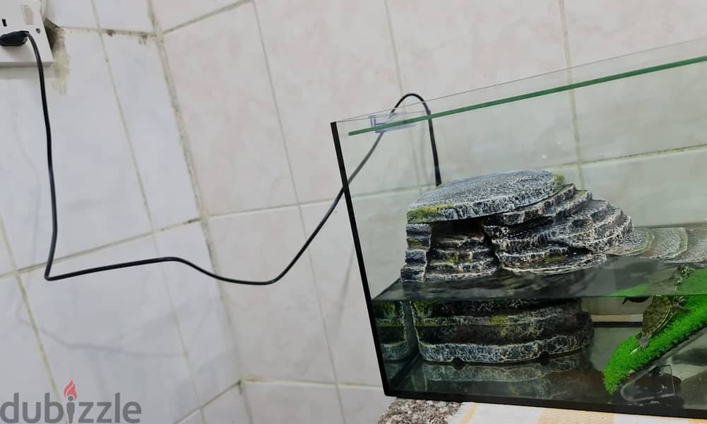 Acquarium with Filter motor and Inside accessories - With 4 turtles. 1