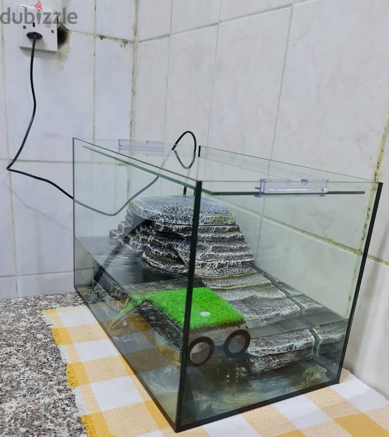 Acquarium with Filter motor and Inside accessories - With 4 turtles. 4