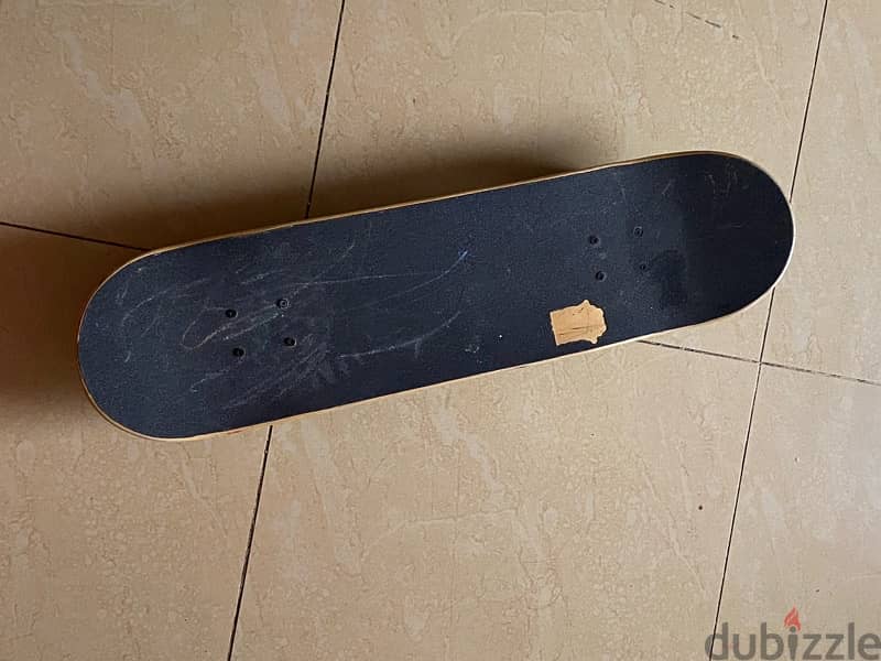 skate board 3