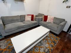 sofa and center table