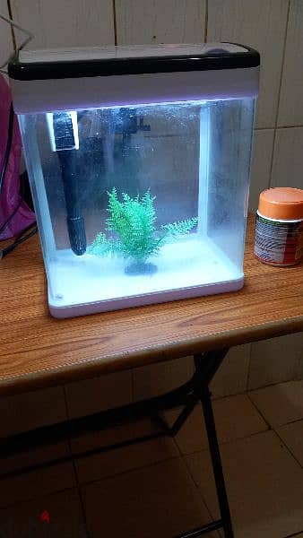 aquariums for sale full accessories filter oxygen and light and stone 6