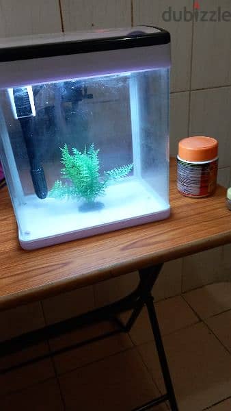 aquariums for sale full accessories filter oxygen and light and stone 7