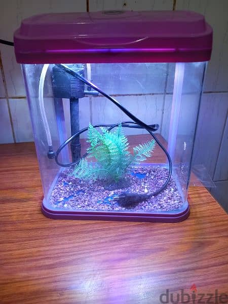 aquariums for sale full accessories filter oxygen and light and stone 8
