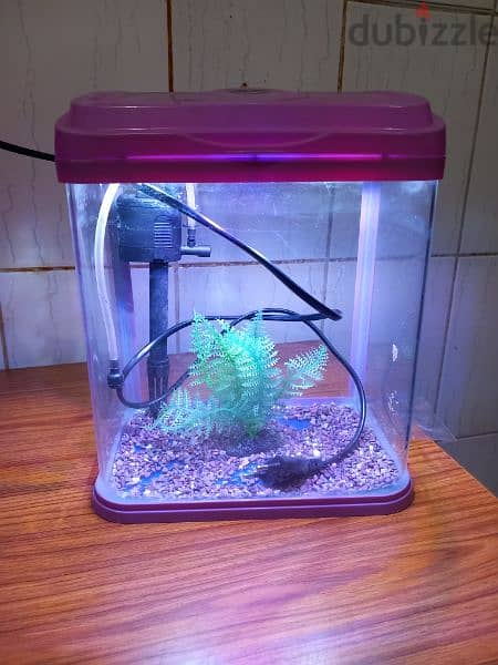 aquariums for sale full accessories filter oxygen and light and stone 9
