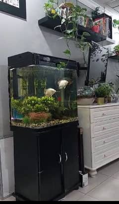 Aquarium with fishes and accessories for sale