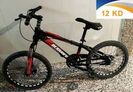 BMX Cycle (Upto 8 Years)