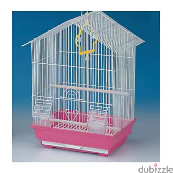 Albiono society Finch with cage 1