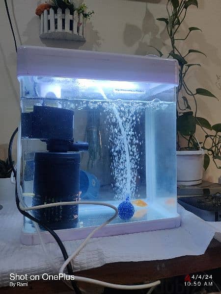 aquarium for sale with oxygen and filter 3
