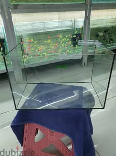 glass tank