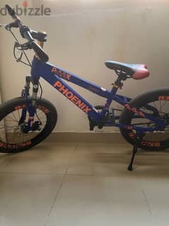 phoenix cycle for sale in good condition not damaged