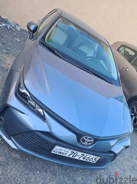 toyota corolla 2023 original paint 6500 km only excellent condition 1