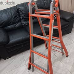 Extendable and folding Ladder 0