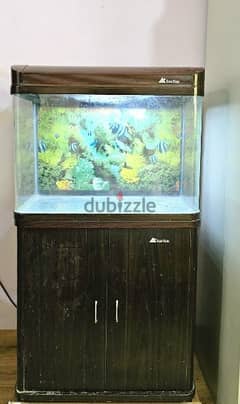 Fish Tank with cabinet 0