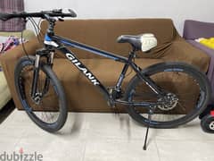 Adult Bicycle for sale 0